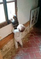 Малыш и Кот смотрят в окно.