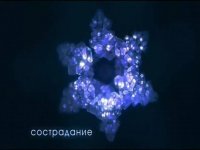 Сострадание
