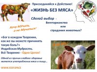 Листовка о Вегетарианстве