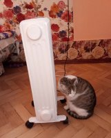 Кошка греется зимой возле обогревателя.