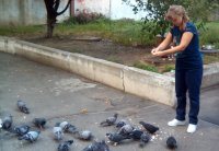 Алиса Кормит Птиц