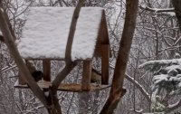 НАЗВАНИЕ-1