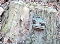 Лицо на Пеньке.