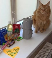 Котик с Посылкой