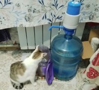 Ананда Пьёт Воду из Фильтра