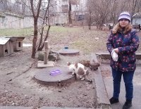 Алиса Кормит Котиков