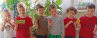 Дети с Музыкальными Инструментами