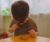 Ученик через лупу рассматривает строение насекомого