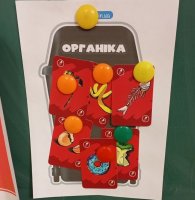 Органика