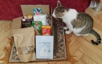 Посылку проверяет Кошка Ананда